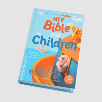 NIV Bible for Children