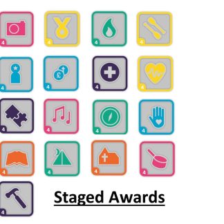Company Staged Awards