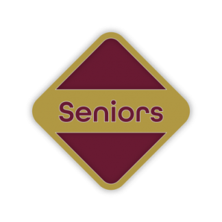 Senior Core Activity Award